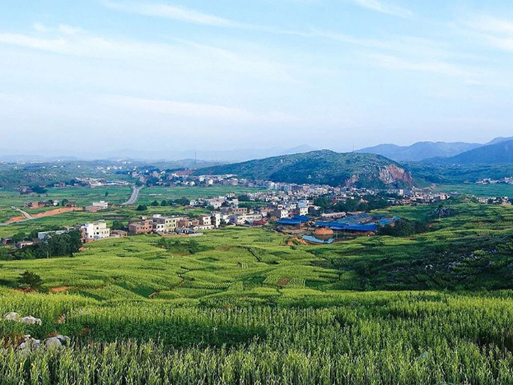 常宁市gdp_常宁市地图(3)